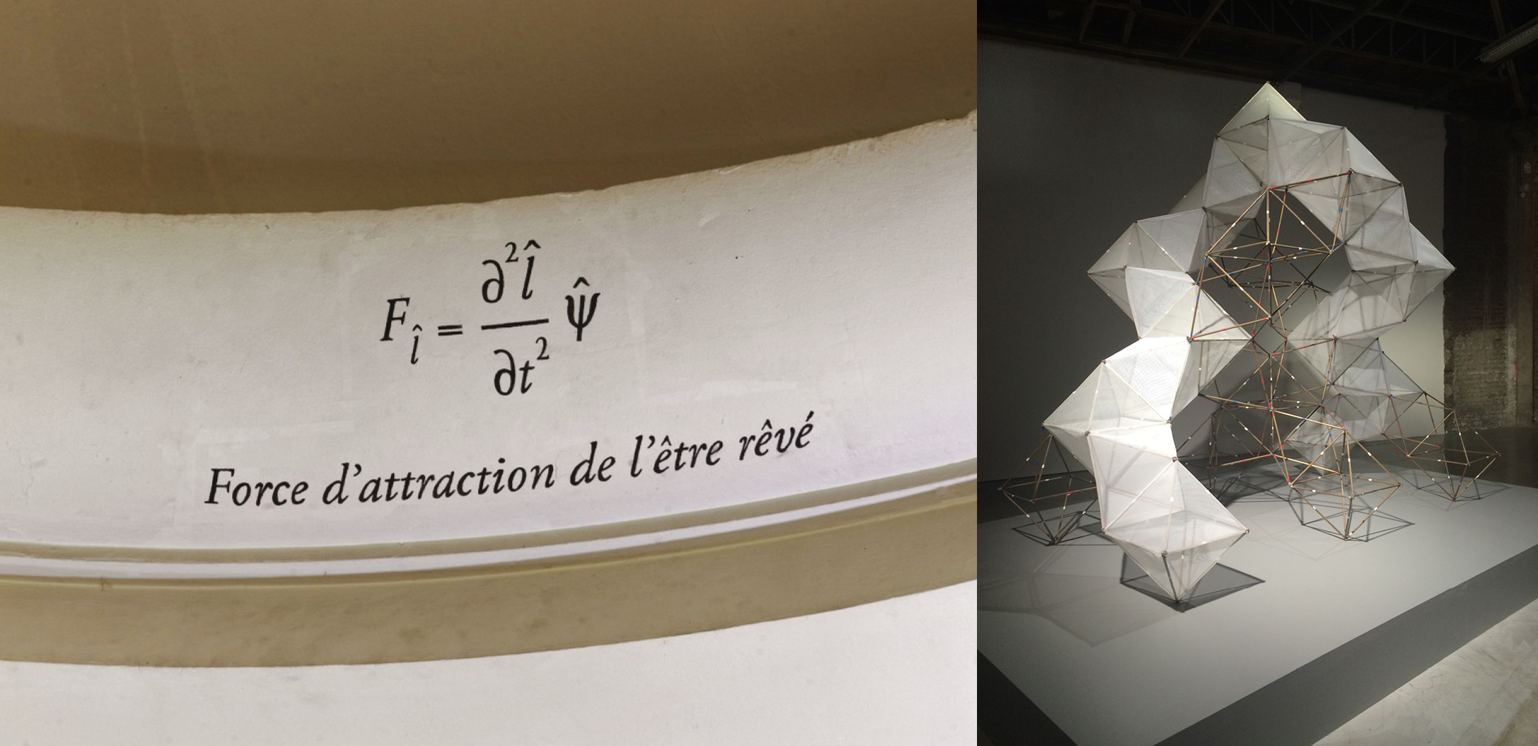 © Laurent Derobert et © Carlos Espinosa. Le Bord des Mondes, Palais de Tokyo, 2015.