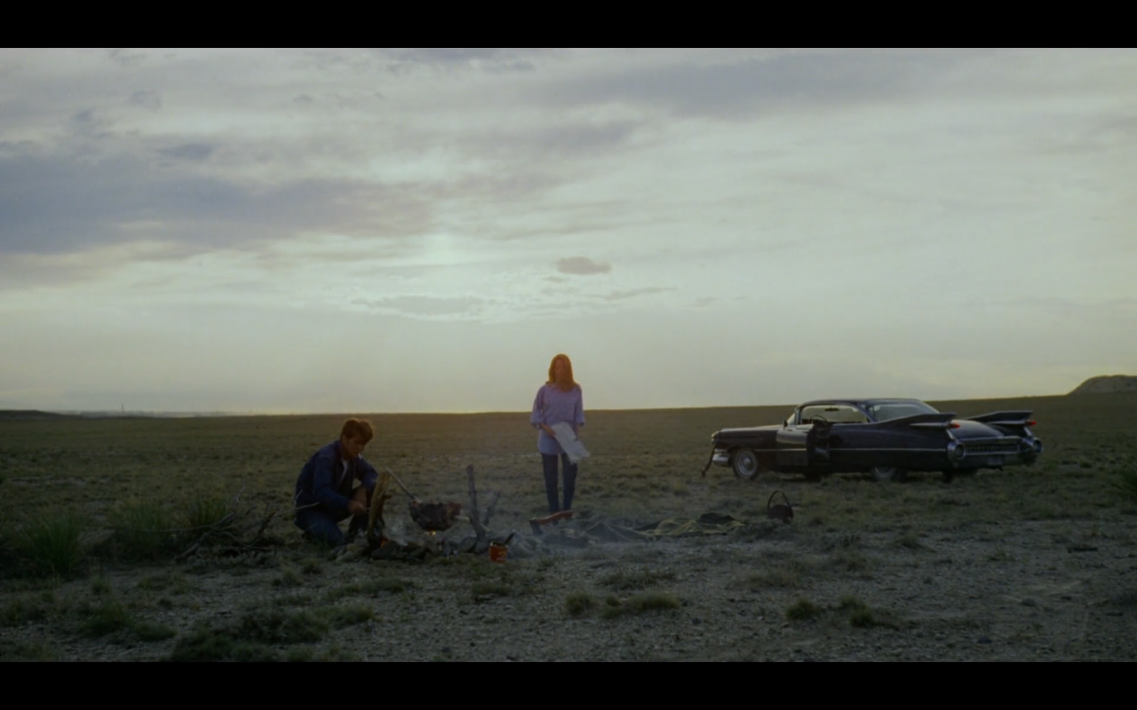 La balade sauvage Terrence Malick