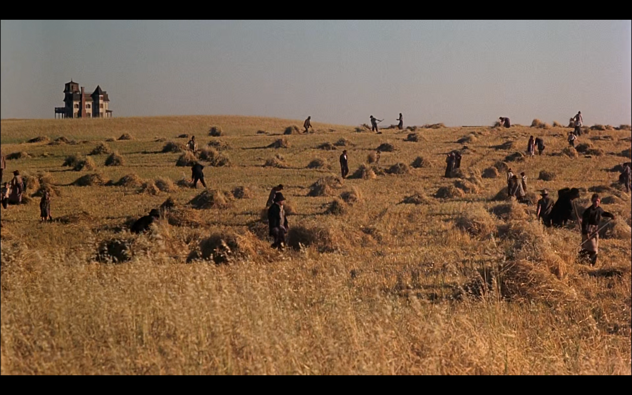 Les Moissons du Ciel Terrence Malick