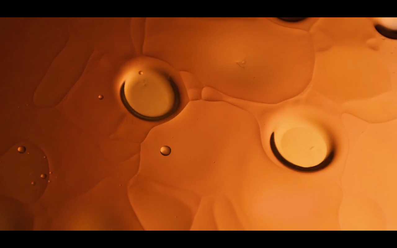 The Tree of Life Terrence Malick