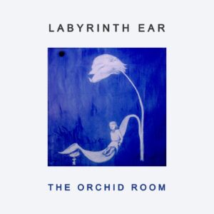 labyrinth-ear