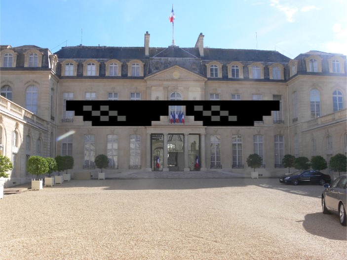 L'élysée avec des lunettes de Thug