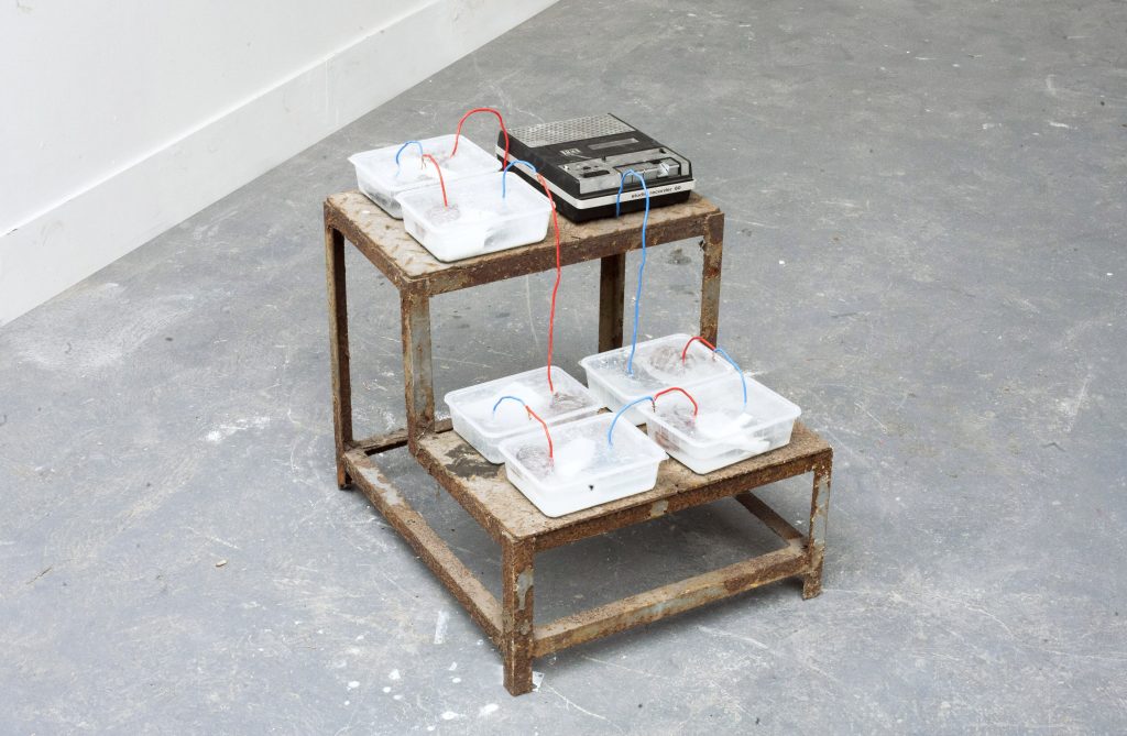 MANIFESTO XXI Nelson Pernisco