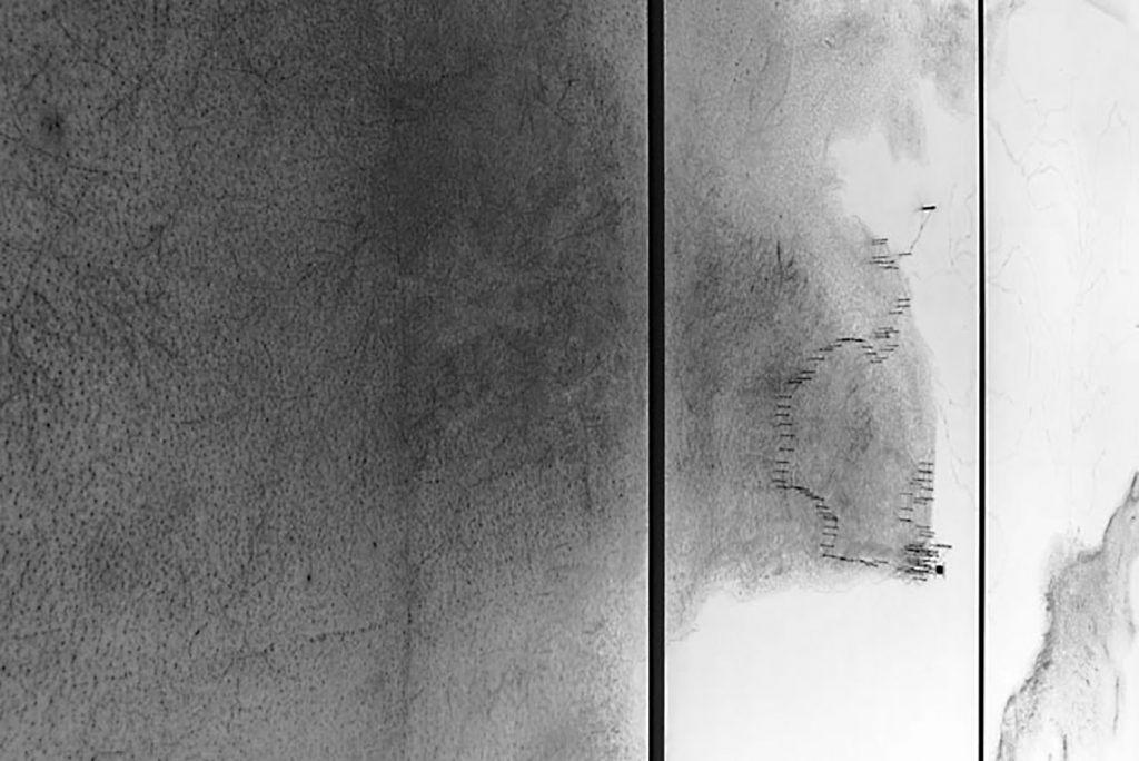 ©Capucine Vever ©Capucine Vever - Manifesto XXI