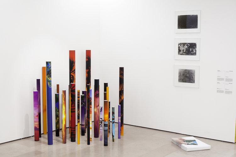 Placebo Landscape / Screenshot (2015-2016), installation 62e Salon de Montrouge 2017 ©Hélène Bellenger