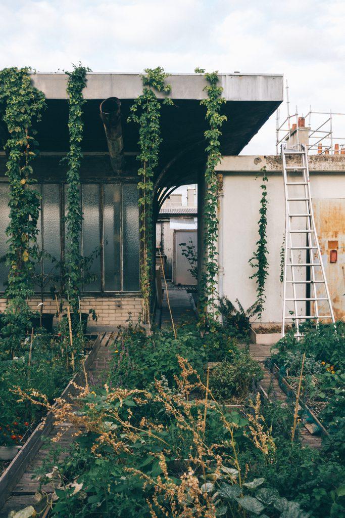 La Générale ©Mathis D'Angelo