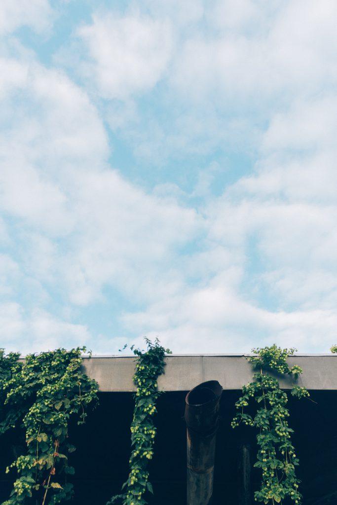 La Générale ©Mathis D'Angelo