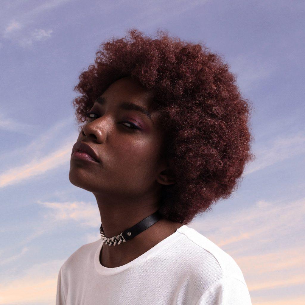 willyverse-manifesto21