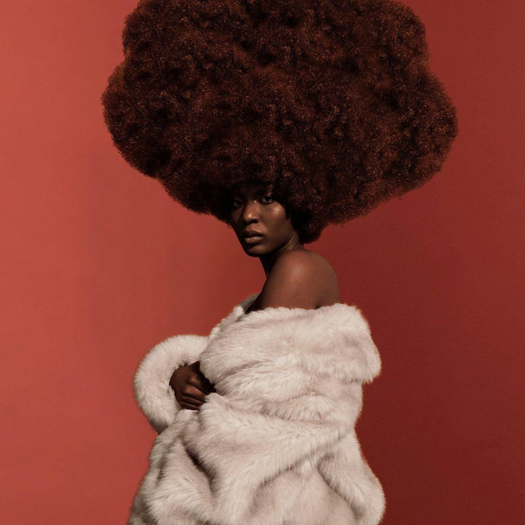 willyverse-manifesto21