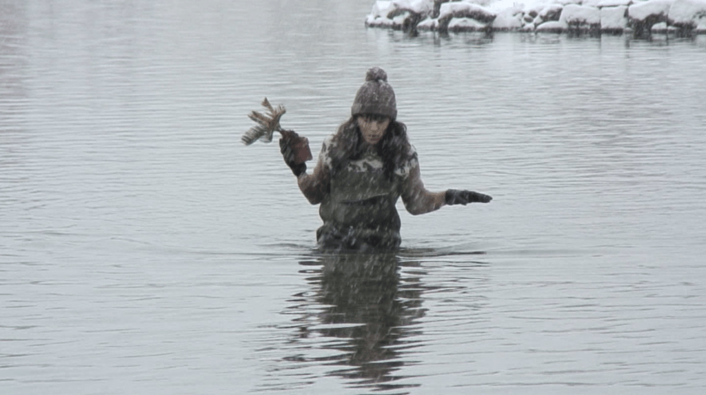 Alice Guittard, Hola Vefur Loð, 1% d’arbres en Islande, 2012, video, 10'