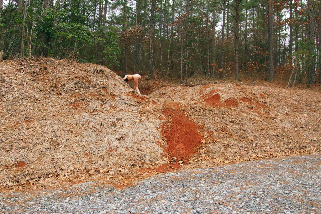 Alice Guittard, Slow fall in the Appalachian forest, 2015