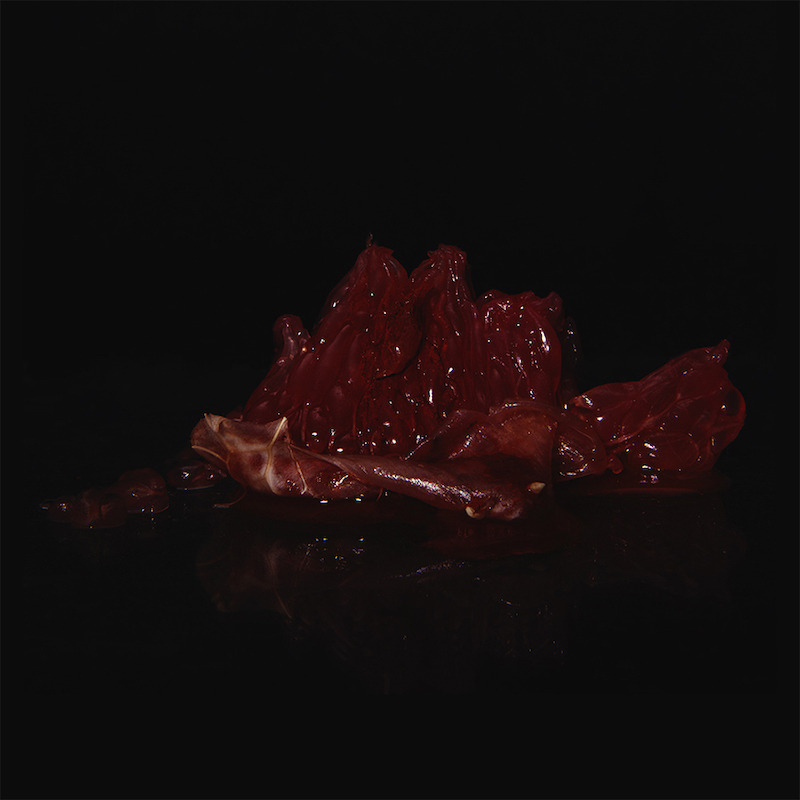 LauraBerson-Le mythe d'endomètre-1