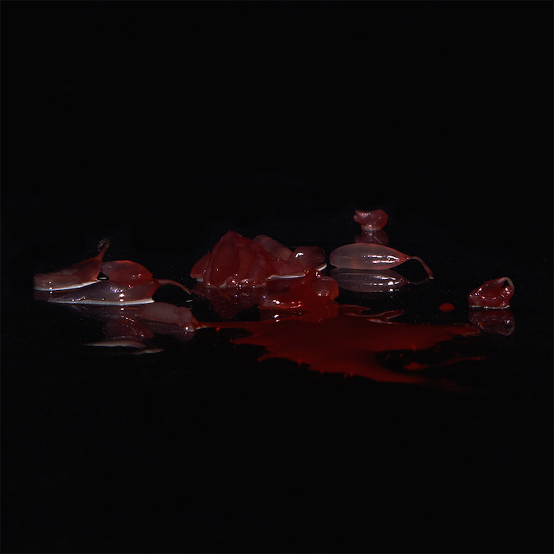 LauraBerson-Le mythe d'endomètre-3