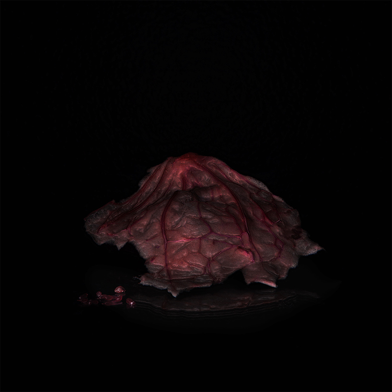 LauraBerson-Le mythe d'endomètre-5