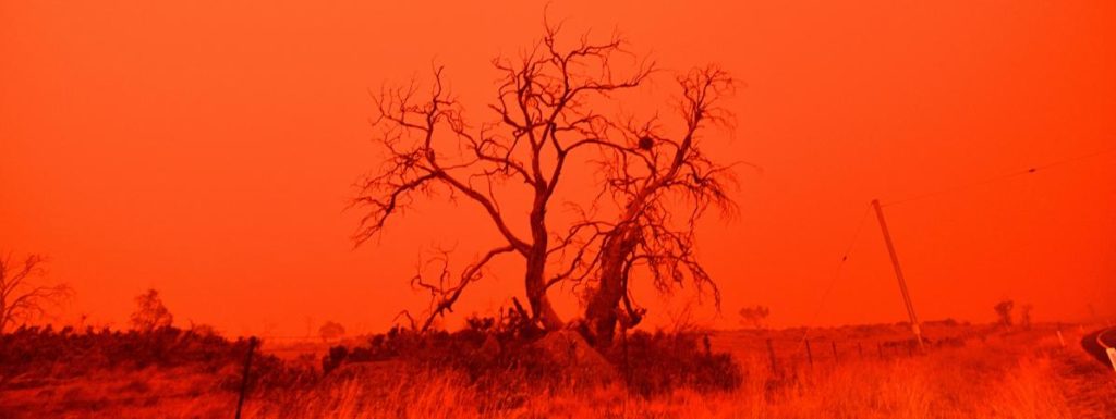 Manifesto 21 - Australie