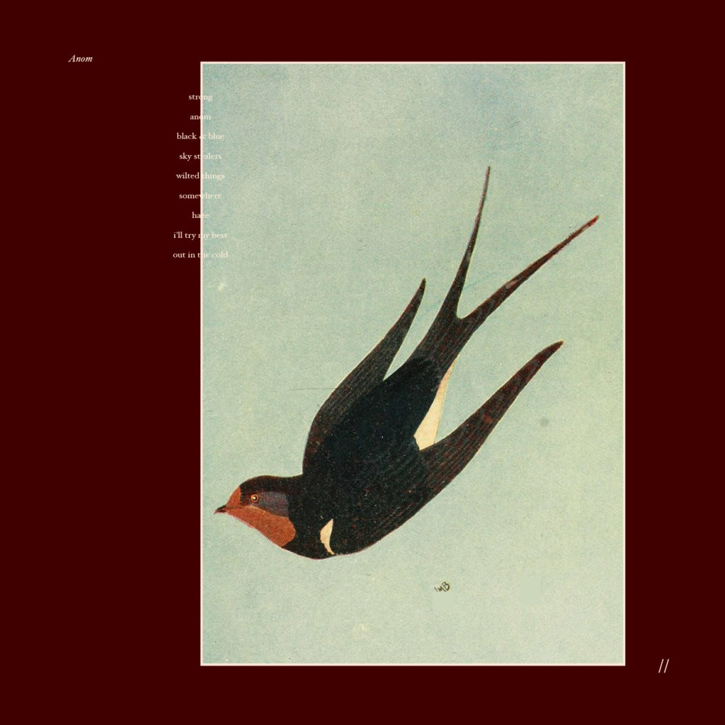 Manifesto XXI - Waterwalls