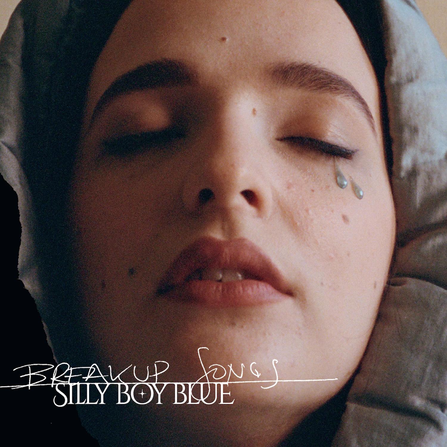 Manifesto XXI - Silly Boy Blue
